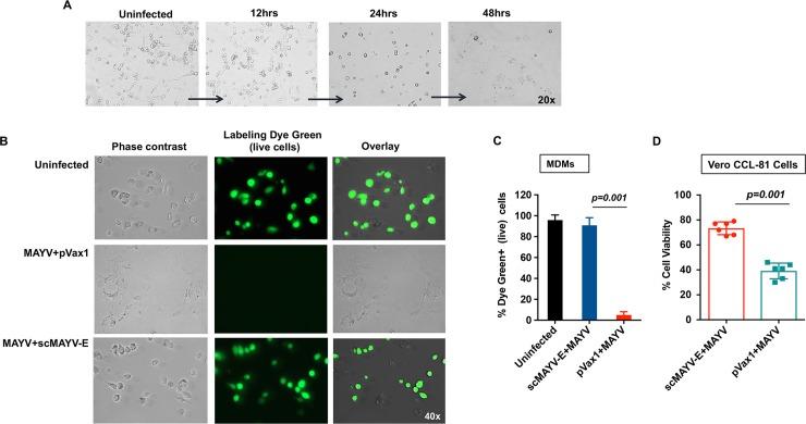 https://cdn.ncbi.nlm.nih.gov/pmc/blobs/47eb/6366747/42449fcac1d3/pntd.0007042.g003.jpg