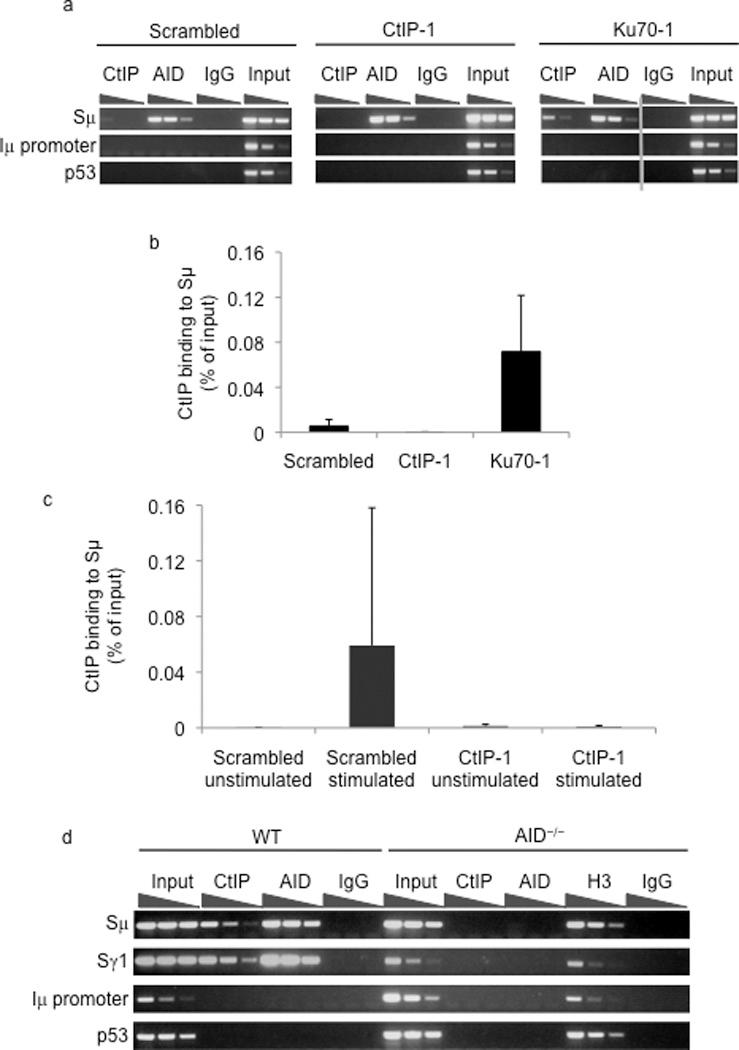 https://cdn.ncbi.nlm.nih.gov/pmc/blobs/47ee/3471154/17e752966bb2/nihms235610f4.jpg