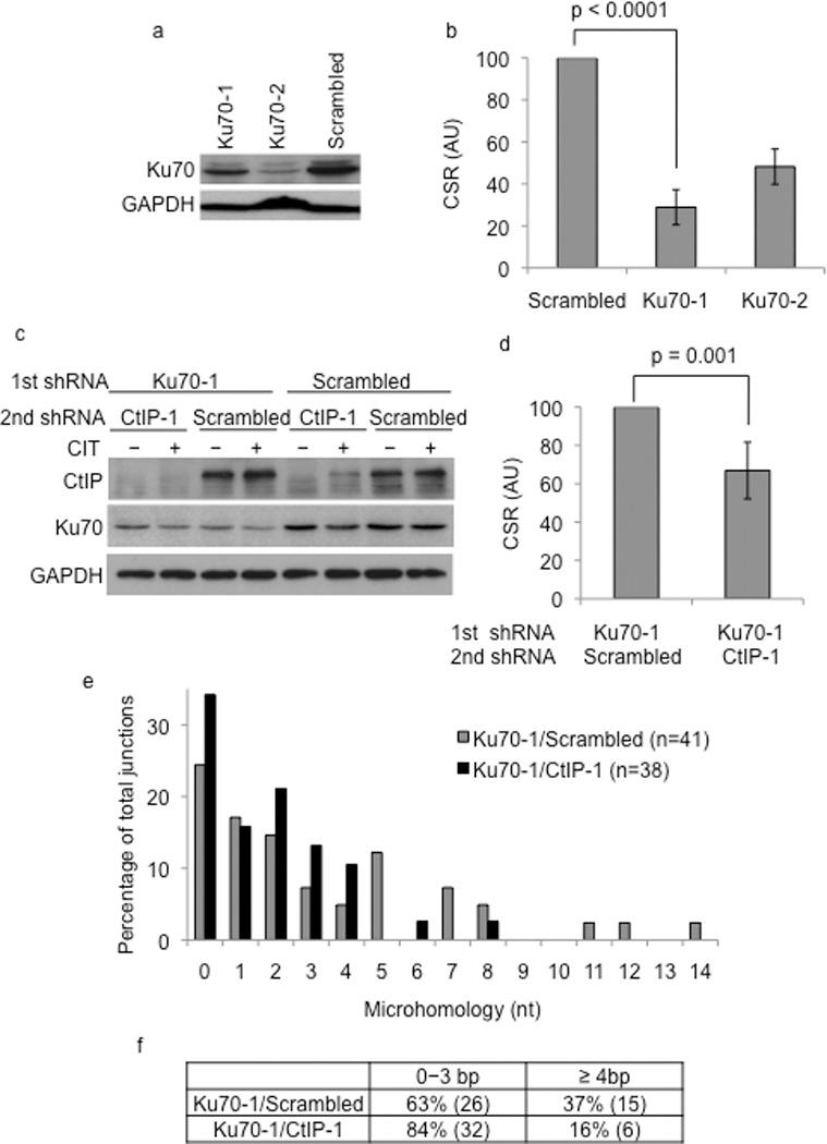 https://cdn.ncbi.nlm.nih.gov/pmc/blobs/47ee/3471154/dfb47a436c91/nihms235610f3.jpg