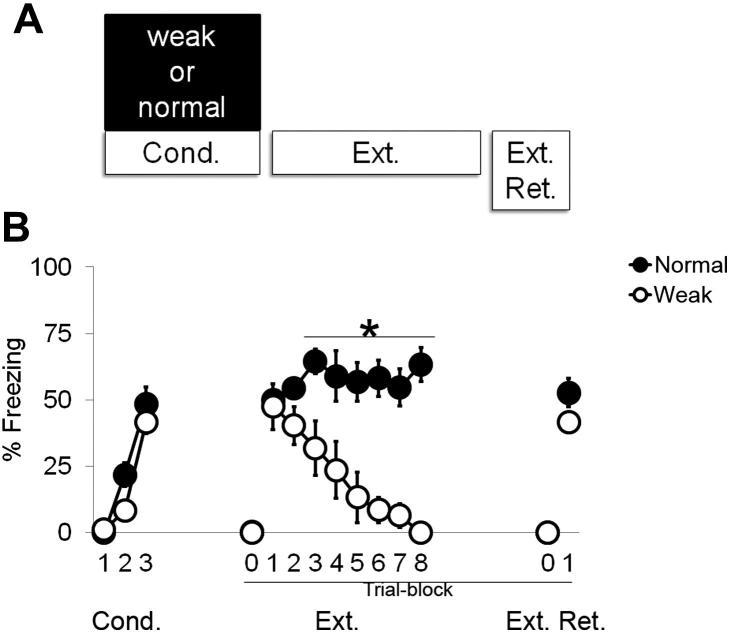 https://cdn.ncbi.nlm.nih.gov/pmc/blobs/47ee/3474950/eacd356594ce/gr1.jpg