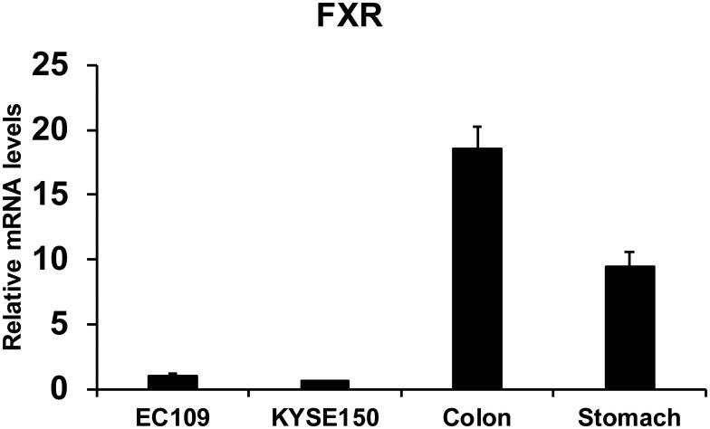 https://cdn.ncbi.nlm.nih.gov/pmc/blobs/47ee/8335319/816159c6e6d0/CMAR-13-5907-g0001.jpg