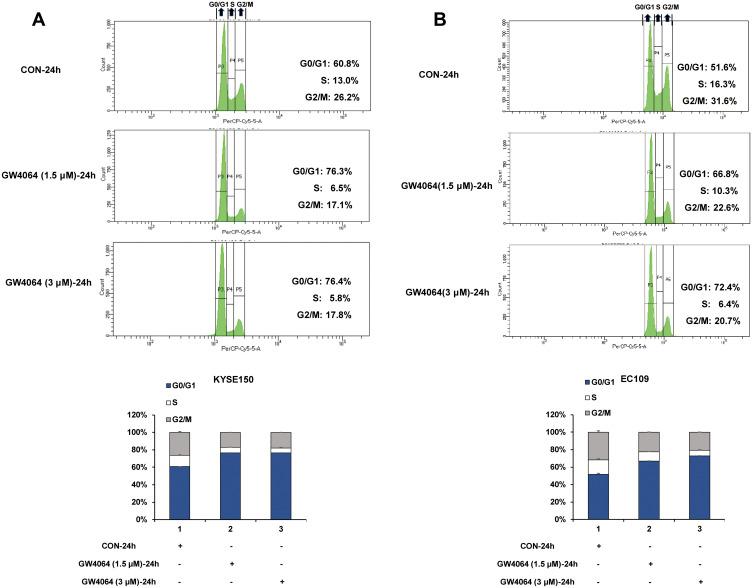 https://cdn.ncbi.nlm.nih.gov/pmc/blobs/47ee/8335319/856d743d57df/CMAR-13-5907-g0004.jpg