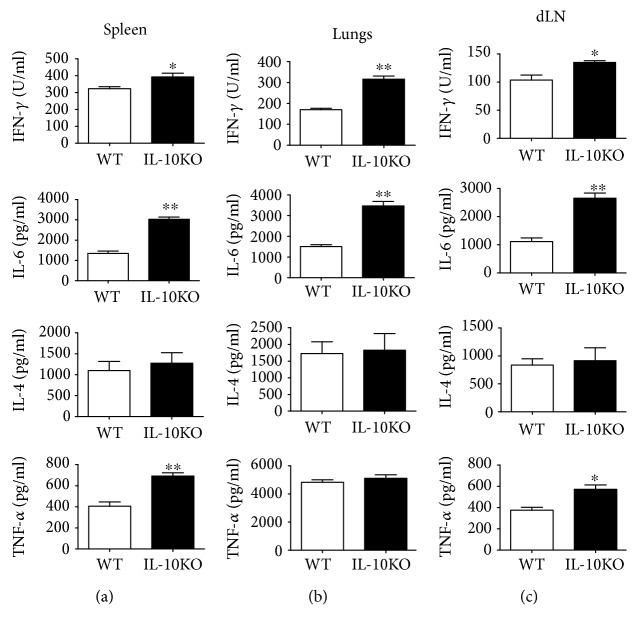 https://cdn.ncbi.nlm.nih.gov/pmc/blobs/47ef/6594250/9eb7d46ea1ab/MI2019-8616154.006.jpg