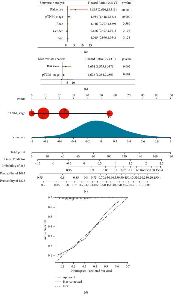 https://cdn.ncbi.nlm.nih.gov/pmc/blobs/47ef/8983226/46fa3f64995b/CIN2022-8598046.005.jpg