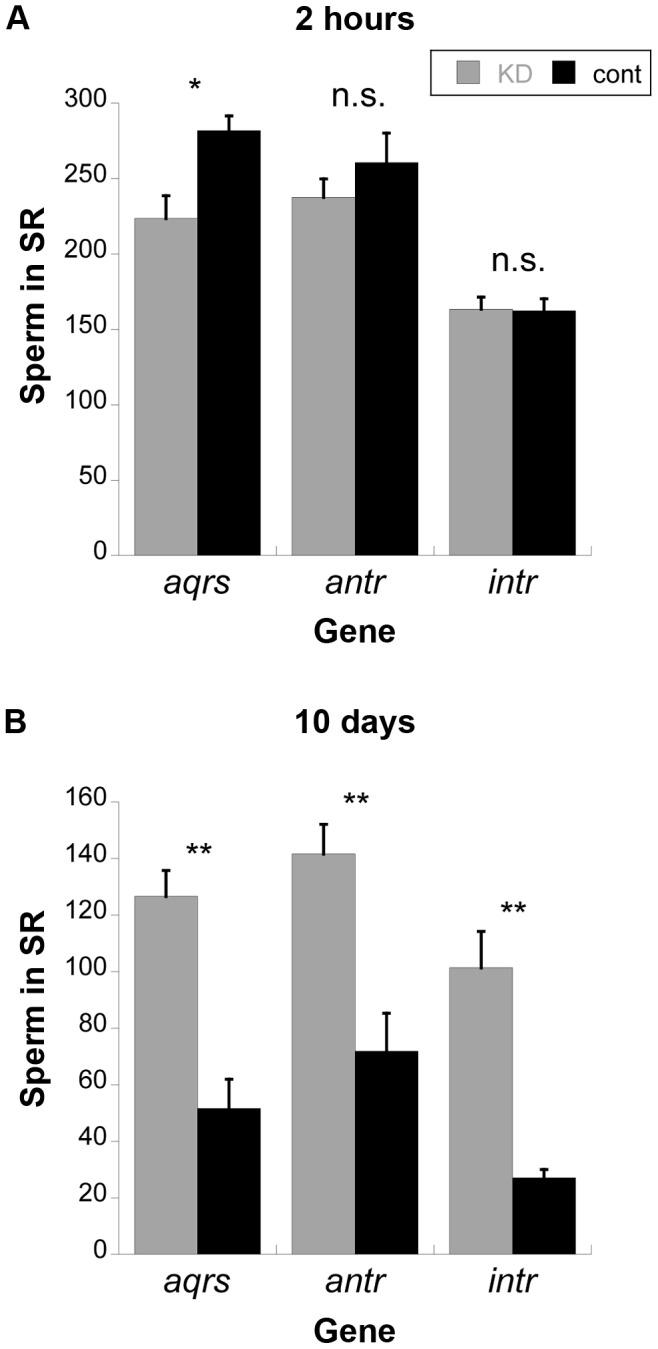 https://cdn.ncbi.nlm.nih.gov/pmc/blobs/47f3/3894160/b04ea0bf1884/pgen.1004108.g005.jpg
