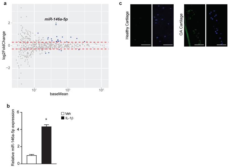 https://cdn.ncbi.nlm.nih.gov/pmc/blobs/47f3/9856058/41417d5d8960/biomolecules-13-00123-g002.jpg