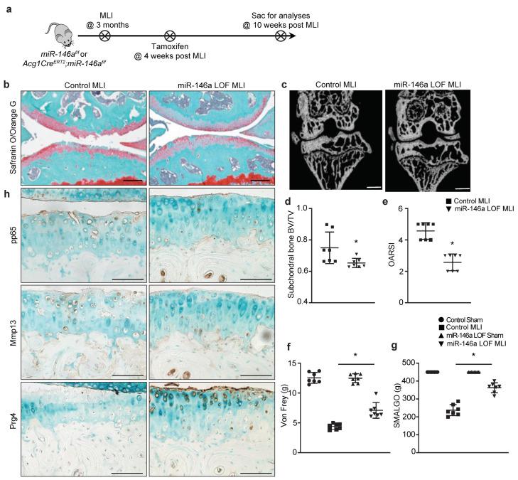 https://cdn.ncbi.nlm.nih.gov/pmc/blobs/47f3/9856058/4c5d58dc196d/biomolecules-13-00123-g004.jpg