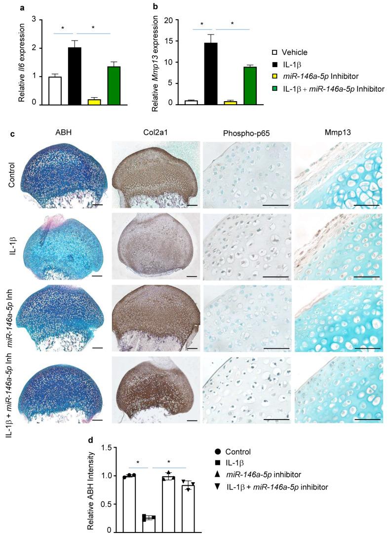 https://cdn.ncbi.nlm.nih.gov/pmc/blobs/47f3/9856058/a003cf430d2a/biomolecules-13-00123-g003.jpg