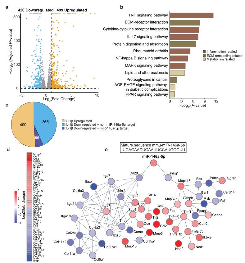 https://cdn.ncbi.nlm.nih.gov/pmc/blobs/47f3/9856058/a0a386b12593/biomolecules-13-00123-g005.jpg