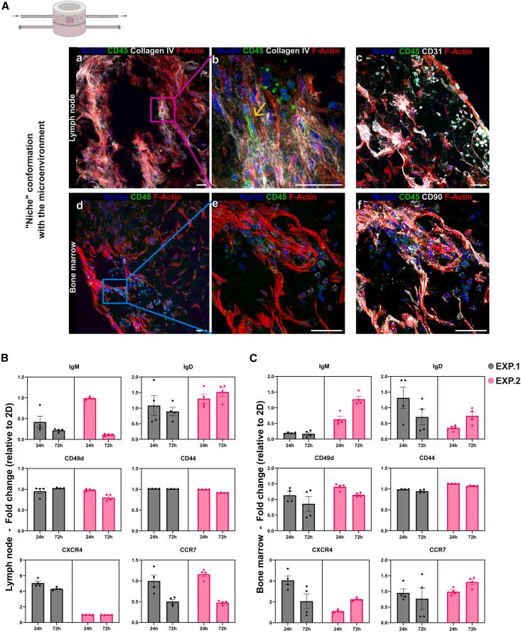 https://cdn.ncbi.nlm.nih.gov/pmc/blobs/47f5/12296514/b4a2b9d77450/gr7.jpg