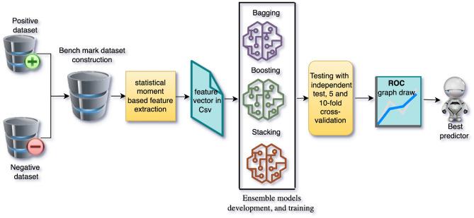 https://cdn.ncbi.nlm.nih.gov/pmc/blobs/47f5/12358548/84e927c73dd6/41598_2025_14194_Fig2_HTML.jpg