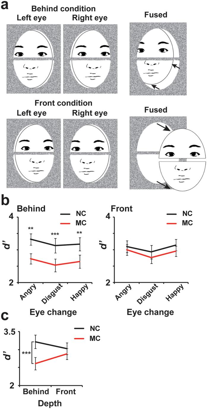 https://cdn.ncbi.nlm.nih.gov/pmc/blobs/47fb/4768101/959b940efc40/srep22049-f2.jpg