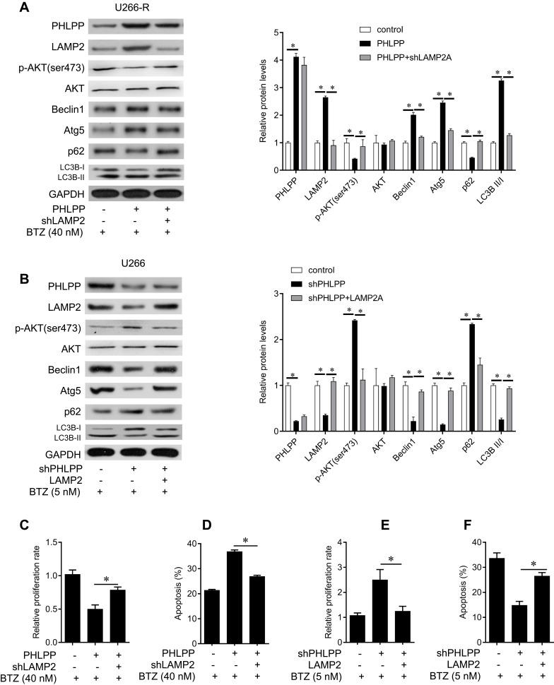 https://cdn.ncbi.nlm.nih.gov/pmc/blobs/47fb/6969690/3522f7c4877e/OTT-13-401-g0004.jpg