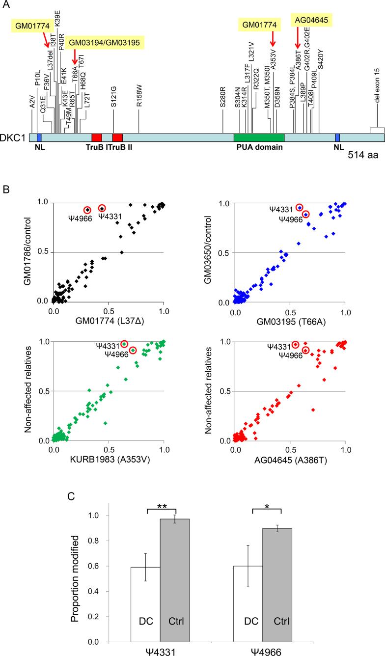 https://cdn.ncbi.nlm.nih.gov/pmc/blobs/47fd/6182160/930a1e229962/gky811fig3.jpg