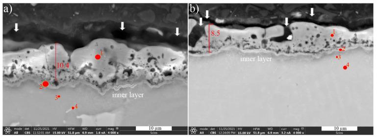 https://cdn.ncbi.nlm.nih.gov/pmc/blobs/47fd/8874933/615b437fc6ad/materials-15-01354-g004.jpg