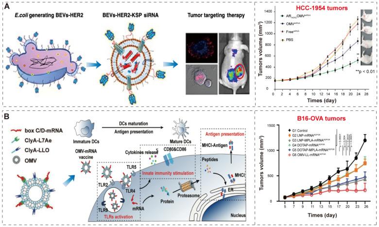https://cdn.ncbi.nlm.nih.gov/pmc/blobs/47ff/9516228/63f7cc86fa61/thnov12p6576g008.jpg