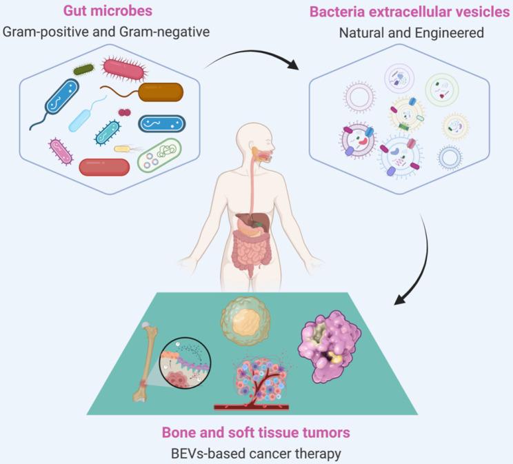 https://cdn.ncbi.nlm.nih.gov/pmc/blobs/47ff/9516228/9e42b2721597/thnov12p6576g001.jpg