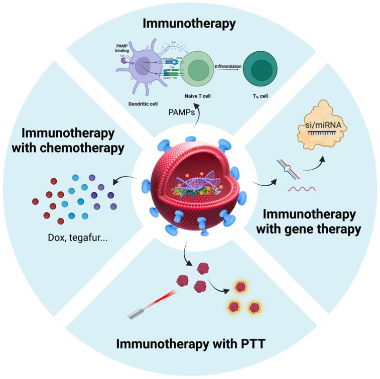 https://cdn.ncbi.nlm.nih.gov/pmc/blobs/47ff/9516228/a46d37fb3867/thnov12p6576g005.jpg