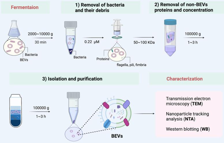 https://cdn.ncbi.nlm.nih.gov/pmc/blobs/47ff/9516228/ce3745f93f40/thnov12p6576g003.jpg