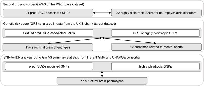 https://cdn.ncbi.nlm.nih.gov/pmc/blobs/4801/12228695/3a2f5d7c6906/41398_2025_3440_Fig2_HTML.jpg