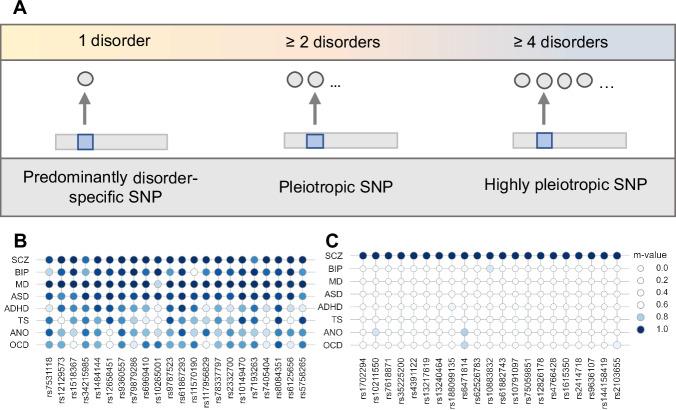 https://cdn.ncbi.nlm.nih.gov/pmc/blobs/4801/12228695/cb87fc5760d1/41398_2025_3440_Fig1_HTML.jpg