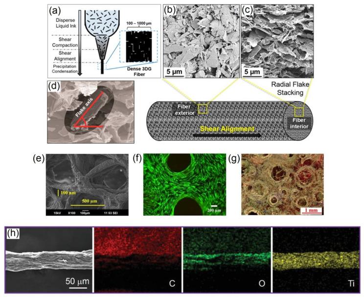 https://cdn.ncbi.nlm.nih.gov/pmc/blobs/4801/7867335/42fc67883b3a/polymers-13-00474-g006.jpg