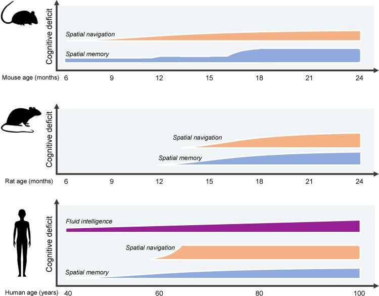 https://cdn.ncbi.nlm.nih.gov/pmc/blobs/4804/10587123/744edfcc9255/41514_2023_120_Fig1_HTML.jpg