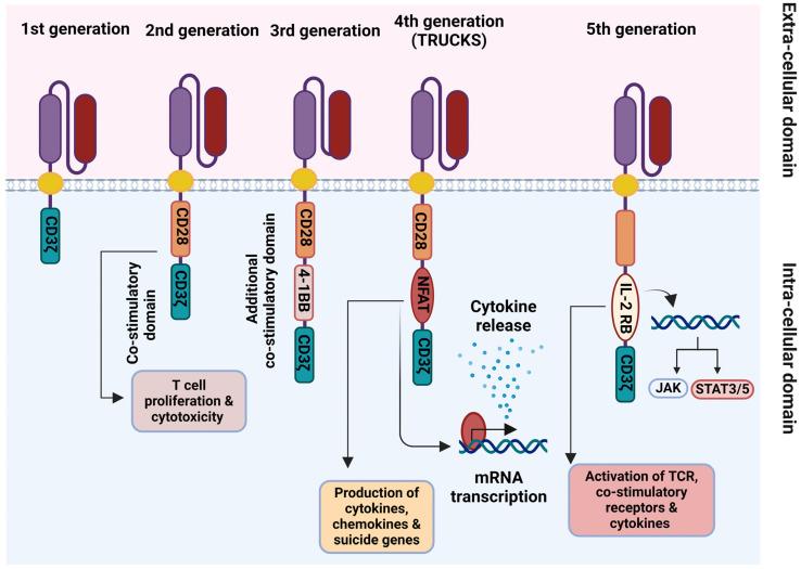 https://cdn.ncbi.nlm.nih.gov/pmc/blobs/4804/10932062/b2348342486b/ijms-25-02631-g002.jpg