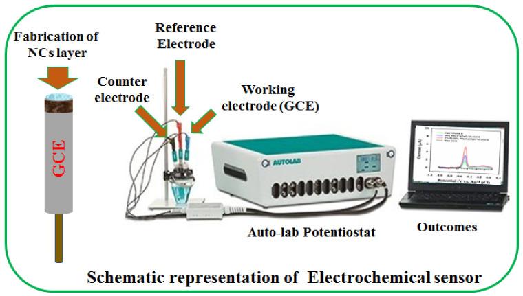 https://cdn.ncbi.nlm.nih.gov/pmc/blobs/4804/9688362/8963fe831074/biosensors-12-00990-sch001.jpg