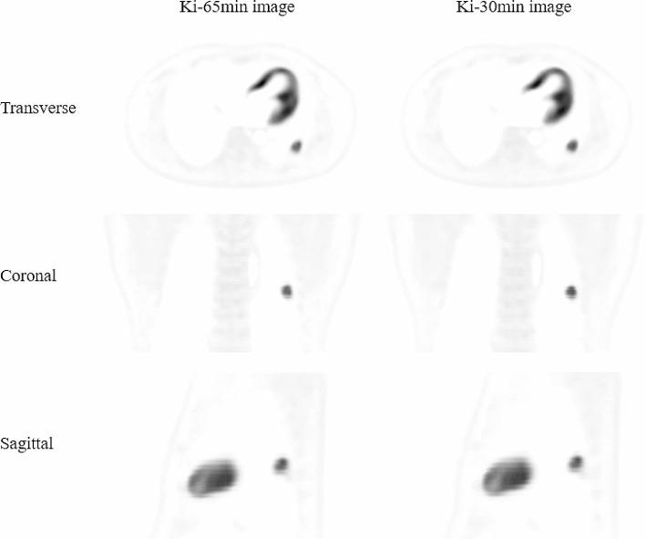 https://cdn.ncbi.nlm.nih.gov/pmc/blobs/4807/10914647/e10f0ef310ae/40658_2024_625_Fig1_HTML.jpg