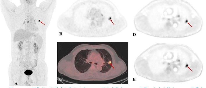 https://cdn.ncbi.nlm.nih.gov/pmc/blobs/4807/10914647/f758cb595676/40658_2024_625_Fig5_HTML.jpg