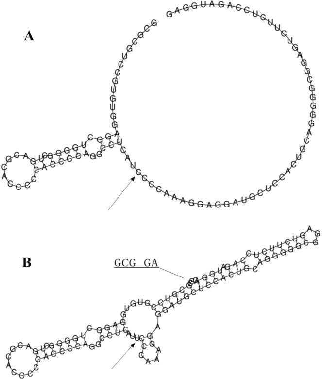 https://cdn.ncbi.nlm.nih.gov/pmc/blobs/4807/6658546/fda80238ada4/41598_2019_47058_Fig2_HTML.jpg