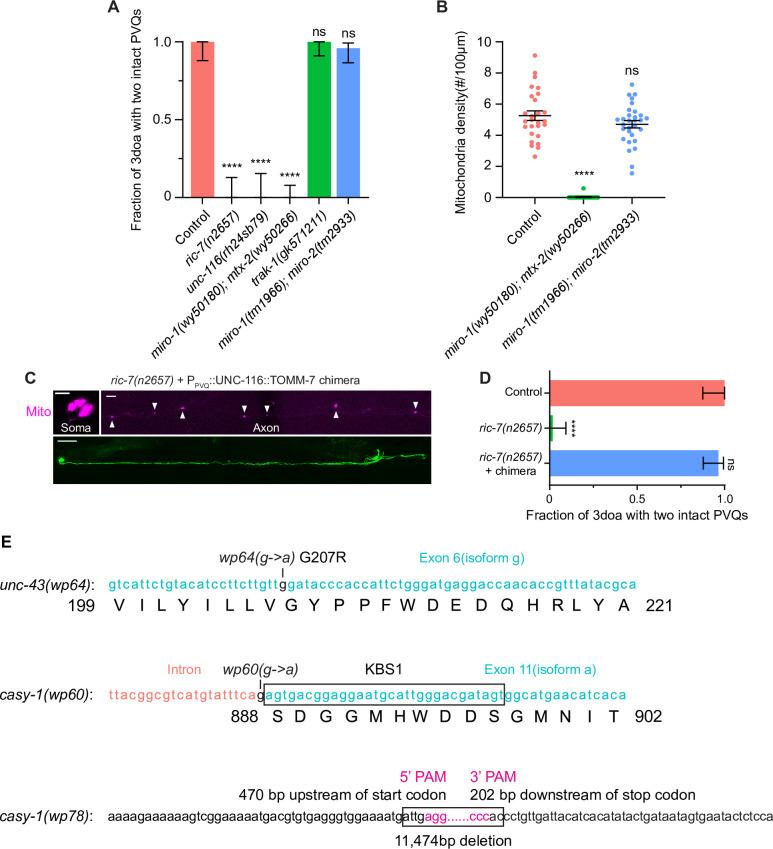 https://cdn.ncbi.nlm.nih.gov/pmc/blobs/4808/8920508/ac8392f0cedb/elife-73557-fig1-figsupp1.jpg