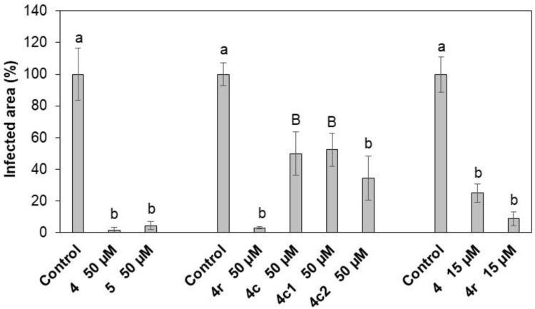 https://cdn.ncbi.nlm.nih.gov/pmc/blobs/4809/7589190/152bc39a7912/ijms-21-07521-g004.jpg