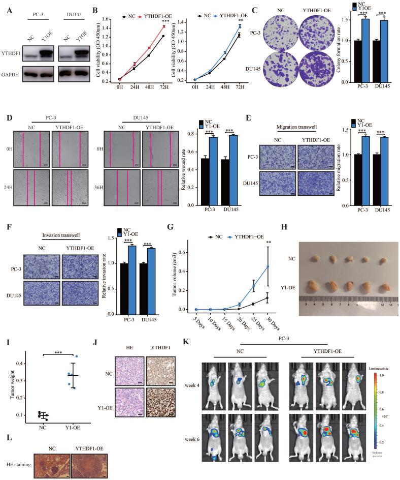 https://cdn.ncbi.nlm.nih.gov/pmc/blobs/480c/9682537/a51a84774f9f/ijbsv18p6145g003.jpg