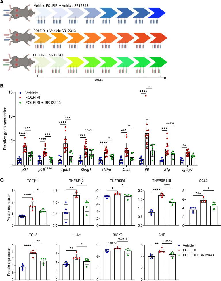https://cdn.ncbi.nlm.nih.gov/pmc/blobs/480d/10906225/3e887ee962d1/jciinsight-9-169512-g045.jpg