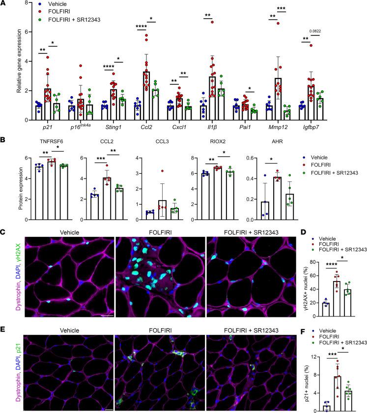 https://cdn.ncbi.nlm.nih.gov/pmc/blobs/480d/10906225/833426267f6c/jciinsight-9-169512-g046.jpg
