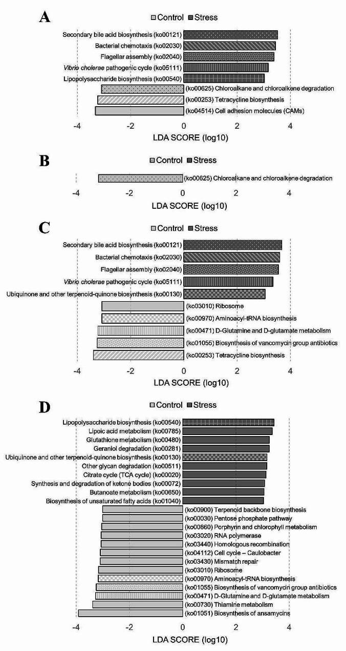 https://cdn.ncbi.nlm.nih.gov/pmc/blobs/480e/11271031/9ccee717d26e/12866_2024_3407_Fig7_HTML.jpg