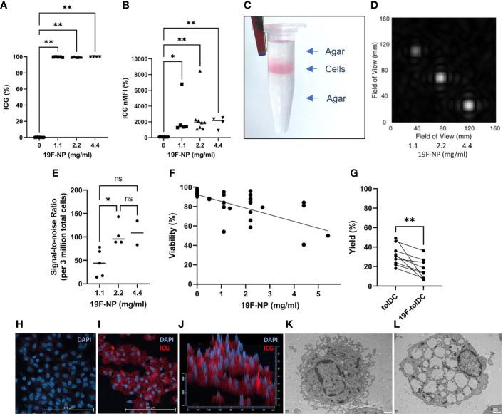 https://cdn.ncbi.nlm.nih.gov/pmc/blobs/480e/9574244/933271b14673/fimmu-13-988667-g001.jpg