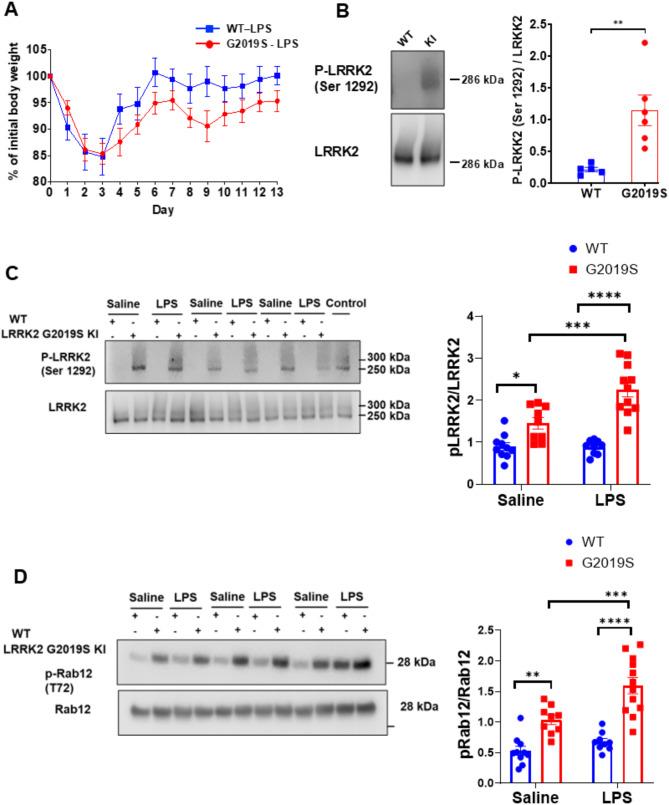 https://cdn.ncbi.nlm.nih.gov/pmc/blobs/4814/11877714/2a398b10e685/12868_2025_939_Fig1_HTML.jpg
