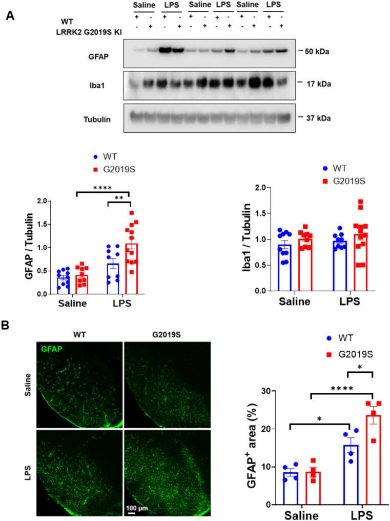 https://cdn.ncbi.nlm.nih.gov/pmc/blobs/4814/11877714/ec4fc4c845ae/12868_2025_939_Fig2_HTML.jpg