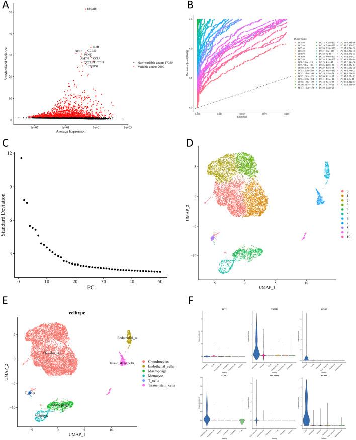 https://cdn.ncbi.nlm.nih.gov/pmc/blobs/4815/12343263/6d6395dae04b/fgene-16-1585775-g002.jpg