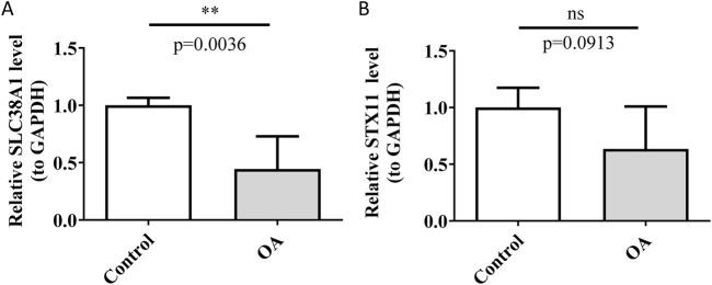 https://cdn.ncbi.nlm.nih.gov/pmc/blobs/4815/12343263/db03fca2faf5/fgene-16-1585775-g010.jpg