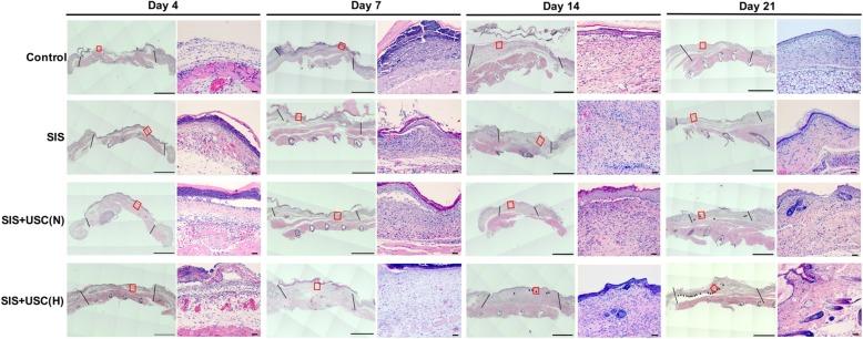 https://cdn.ncbi.nlm.nih.gov/pmc/blobs/4815/7137341/84b50473acb6/13287_2020_1662_Fig5_HTML.jpg