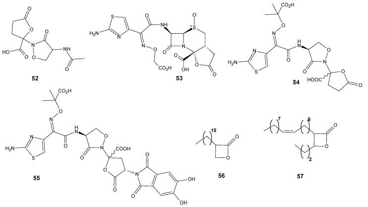 https://cdn.ncbi.nlm.nih.gov/pmc/blobs/4815/9598898/8dcb9ac1de1e/antibiotics-11-01327-g006.jpg