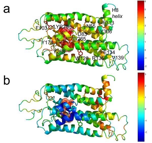 https://cdn.ncbi.nlm.nih.gov/pmc/blobs/4816/3044278/4097d23bb8f6/1471-2105-12-S1-S23-1.jpg