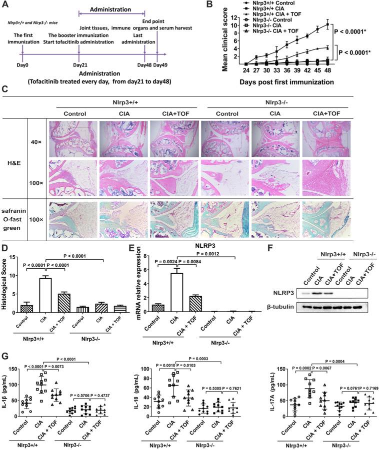 https://cdn.ncbi.nlm.nih.gov/pmc/blobs/481a/7738886/1cf2c2d3966e/thnov11p1446g004.jpg