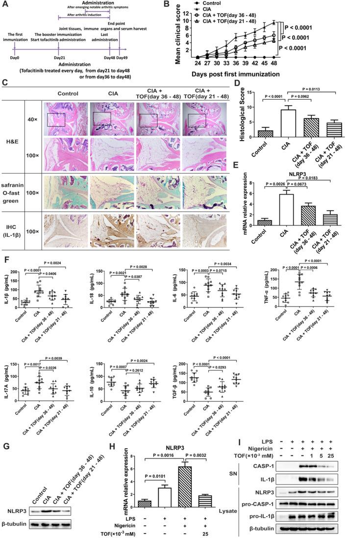 https://cdn.ncbi.nlm.nih.gov/pmc/blobs/481a/7738886/31ba8a8d05ec/thnov11p1446g002.jpg