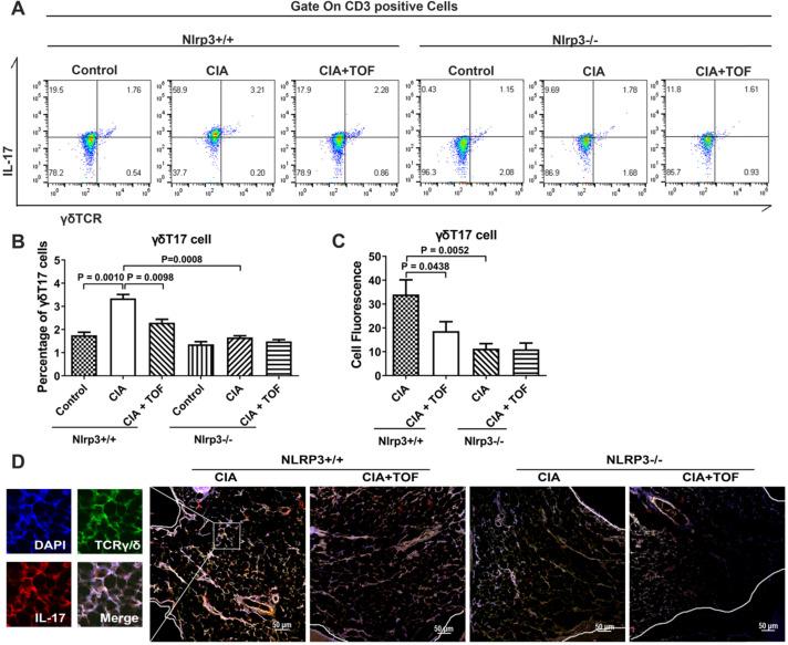 https://cdn.ncbi.nlm.nih.gov/pmc/blobs/481a/7738886/9681fa1cd73f/thnov11p1446g005.jpg