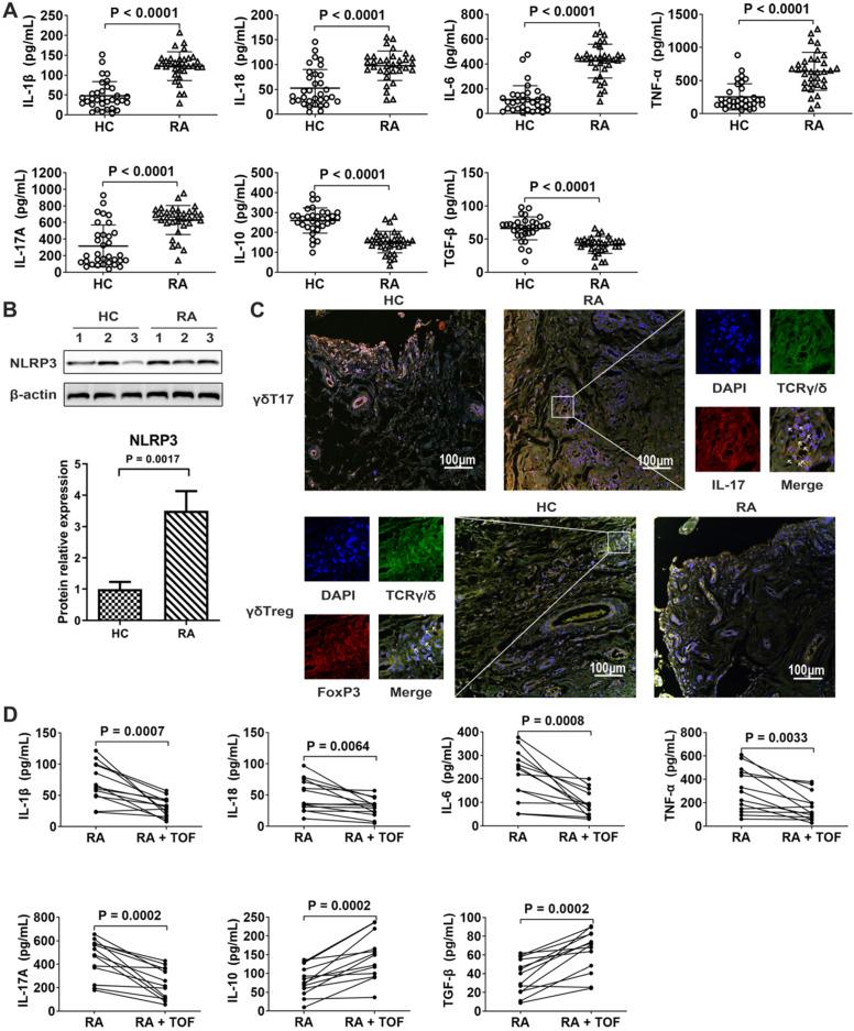 https://cdn.ncbi.nlm.nih.gov/pmc/blobs/481a/7738886/df0ffc5bc577/thnov11p1446g001.jpg